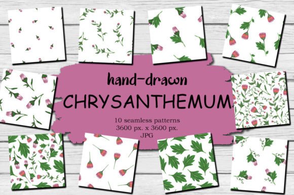 Download Chrysanthemum Spring Floral Background - Floral Collection