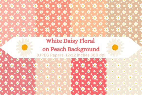 Download White Daisy Floral on Peach Background - Floral Collection